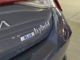 Certified 2023 Hyundai Elantra Blue w/ Preferred Accessory Package image 5