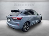 Certified 2024 Ford Escape ST-Line Select w/ Tech Pack #2 image 4