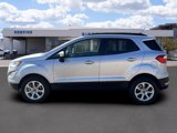 Certified 2022 Ford EcoSport SE image 4