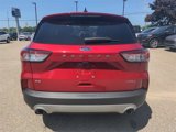 Certified 2022 Ford Escape SE w/ Convenience Package image 6