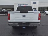 Certified 2023 Ford F150 XLT w/ Equipment Group 301A Mid image 4