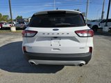 Used 2022 Ford Escape SE image 4