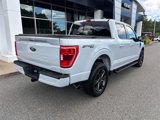 Used 2021 Ford F150 XLT w/ Equipment Group 302A High image 3