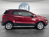 Used 2021 Ford EcoSport SE image 2