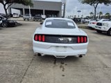 Used 2015 Ford Mustang Coupe w/ Ecoboost Performance Package image 4