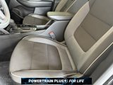 Used 2023 Chevrolet TrailBlazer LT w/ Convenience Package image 4