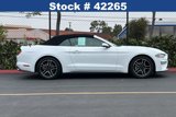 Certified 2020 Ford Mustang Premium image 4
