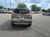 Used 2013 Ford Escape SEL image 4