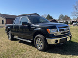 Used 2013 Ford F150 XLT w/ Luxury Equipment Group image 5