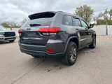 Used 2016 Jeep Grand Cherokee Laredo 75th Anniversary image 5