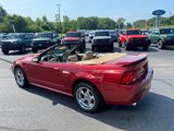 Used 2003 Ford Mustang GT image 5
