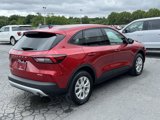 New 2025 Ford Escape Active w/ Cold Weather Package image 6