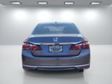 Used 2016 Honda Accord EX-L image 5