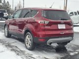 Used 2017 Ford Escape SE w/ SE Cold Weather Package image 6