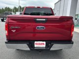 Used 2015 Ford F150 XLT w/ Equipment Group 301A Mid image 4