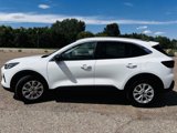 New 2024 Ford Escape Active w/ Tech Pack #1 image 5