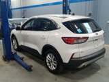 Used 2020 Ford Escape SE image 4