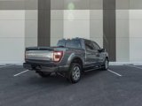 Used 2023 Ford F150 Platinum w/ Equipment Group 701A High image 3