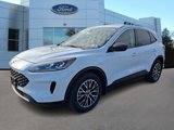 Certified 2022 Ford Escape SE image 3