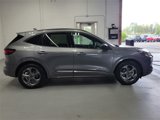 Used 2024 Ford Escape ST-Line image 4