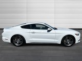 Used 2016 Ford Mustang Coupe image 3