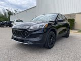 Used 2022 Ford Escape SE w/ Cold Weather Package image 4
