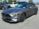 Used 2022 Ford Mustang Premium image 3