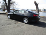 Used 2024 Chevrolet Malibu LT image 3
