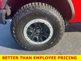 New 2024 Ford Bronco Big Bend w/ Sasquatch Package image 2