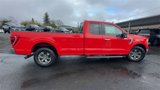 Used 2021 Ford F150 XLT w/ Equipment Group 302A High image 2