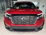 Used 2022 Honda Passport TrailSport image 4