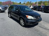 Used 2010 Honda CR-V EX-L image 4