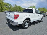 Used 2009 Ford F150 STX image 6
