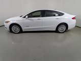 Used 2015 Ford Fusion SE image 4