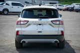 Used 2020 Ford Escape SEL image 6
