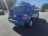 Used 2011 Ford Escape XLT w/ 202A Rapid Spec Order Code image 6