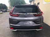 Used 2020 Honda CR-V EX-L image 6