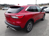 Used 2020 Ford Escape SEL image 6
