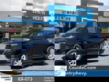 View Video