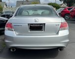 Used 2010 Honda Accord EX-L image 6