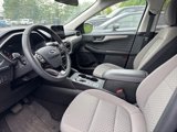 Used 2022 Ford Escape SE w/ Cold Weather Package image 3