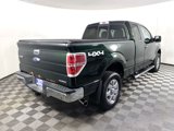 Used 2013 Ford F150 XLT w/ Luxury Equipment Group image 5