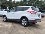 Used 2014 Ford Escape SE image 4