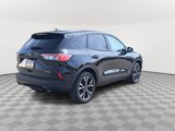 Used 2022 Ford Escape SE w/ SE Sport Appearance Package image 5