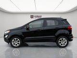 Used 2020 Ford EcoSport SE w/ SE Convenience Package image 4