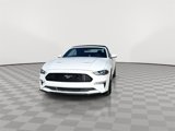 Used 2020 Ford Mustang Premium image 3