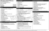 Used 2022 Subaru Outback Wilderness image 4
