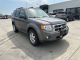 Used 2011 Ford Escape XLT w/ 202A Rapid Spec Order Code image 2