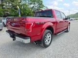 Used 2015 Ford F150 Lariat w/ Equipment Group 502A Luxury image 5