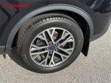 Used 2022 Ford Escape SEL w/ Technology Package image 4